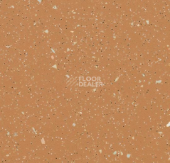 Линолеум Forbo SureStep Original 172682 terra фото 1 | FLOORDEALER